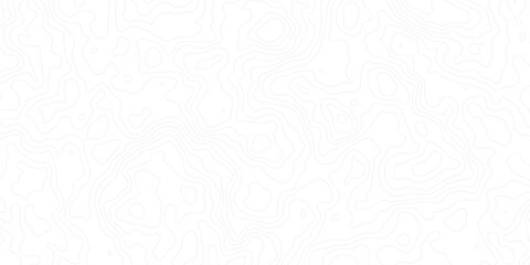 Fototapeta premium Minimal white topographic contour map background with soft, flowing elevation lines. Perfect for geographic themes, abstract landscapes, or subtle design textures in modern digital projects.