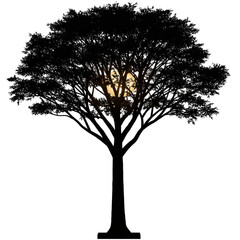 Silhouetted tree against a full moon, casting shadows in a serene nighttime landscape