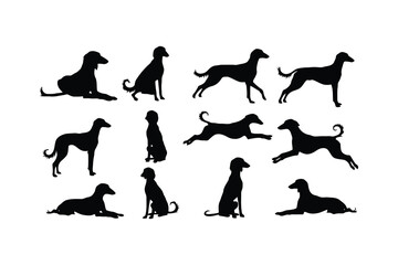 Fototapeta premium Elegant dog silhouettes various poses dogs animal