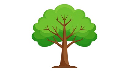 Illustration of a lush green tree with a detailed crown and sturdy brown trunk