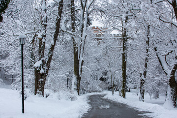 beautiful winter landscape with a road and trees covered in snow