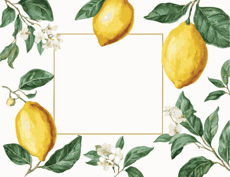 Summer Wedding party Invitation with Lemons. Italian style lemon branch botanical invite