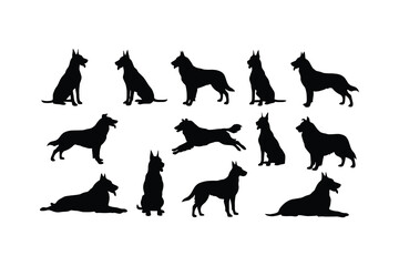 Great Danes in various poses dogs canine