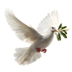 Obraz premium Dove of Peace in Flight | Wings of Hope and Harmony | A Messenger Bearing the Olive Branch | Serenity in Motion | Symbol of Unity and Light | Flight Toward a Peaceful World. 