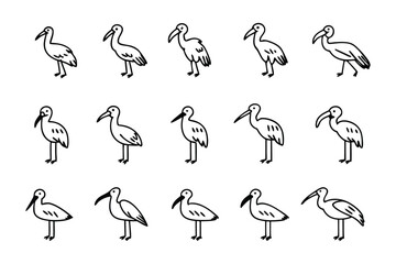 Geometric ibis bird illustration: A collection of ibis illustrations arranged in a grid, showcasing the bird's elegant silhouette and unique form. This clean.