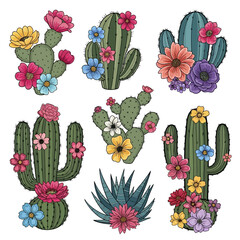 A vibrant collection of hand-drawn desert cacti and succulent illustrations, each adorned with colorful blooming flowers
