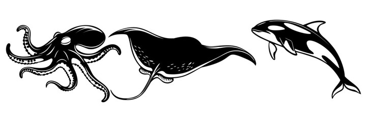 sea animal silhouette illustration
