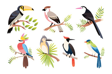 Exotic Birds on Branches: A vibrant illustration showcasing a collection of diverse, colorful bird species perched on leafy branches, each one a unique masterpiece of nature's artistry.