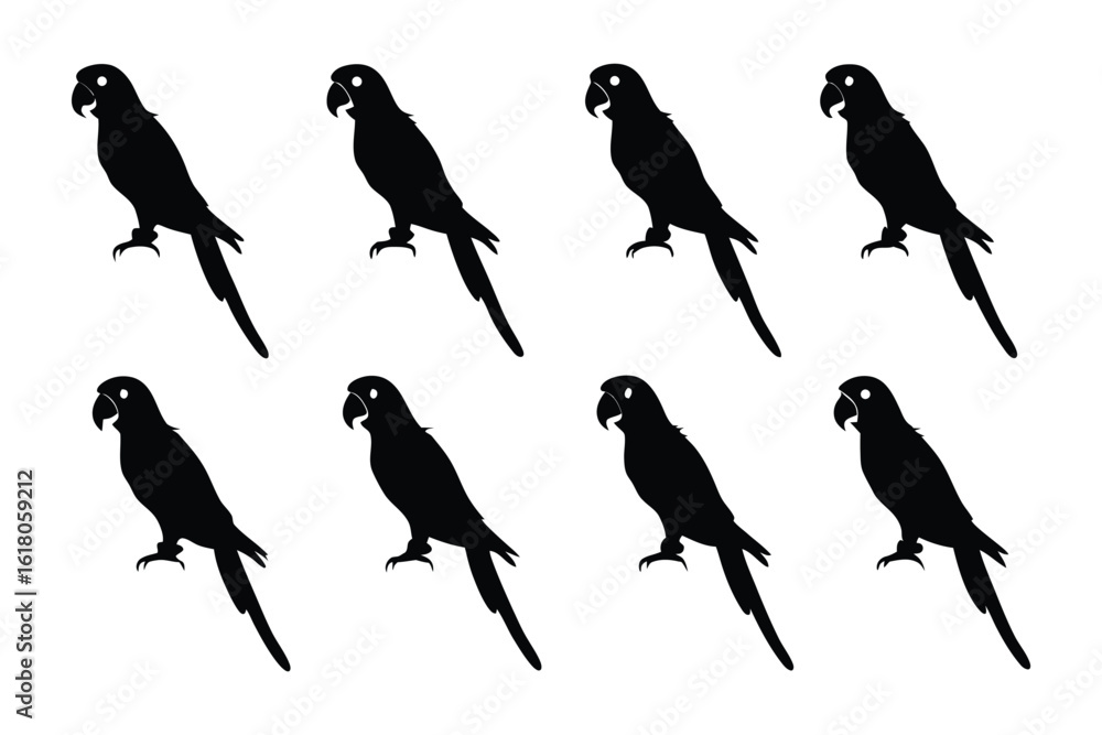 Poster parrot silhouette pattern: a striking pattern showcases multiple parrot silhouettes. the stark contr