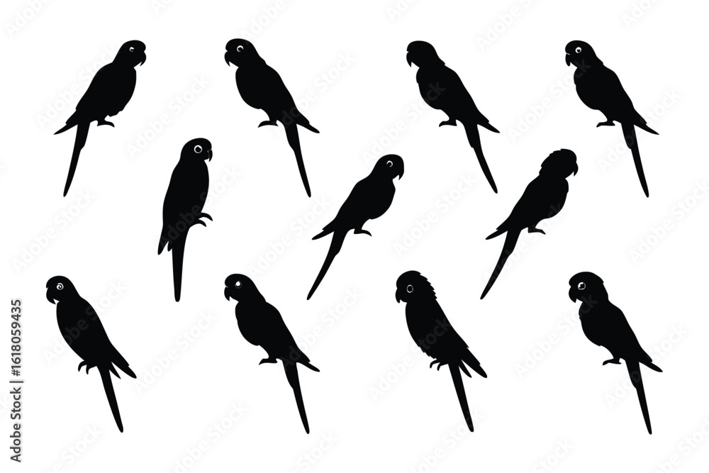 Poster parrot silhouette patterns: a striking array of parrot silhouettes arranged in a visually captivatin