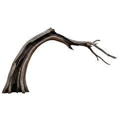 wilted dead tree twisting with branches to one side, wide view high detail realistic bark texture, gnarled silhouette isolated on white for transparent background PNG