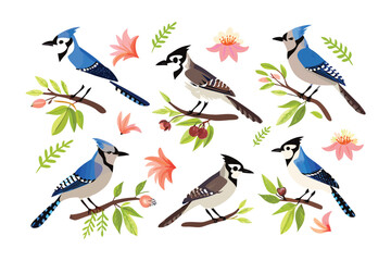 Illustration of Blue Jay and flowers: A delightful illustration showcasing the lively blue jay and flowers , creating a cheerful and captivating artistic scene.