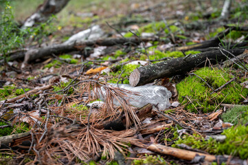Plastic bottles in the forest. Environmental pollution. Nature protection