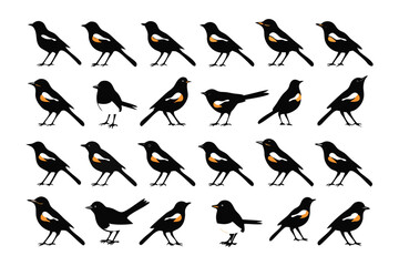 Birds Illustrations: A collection of stylized bird illustrations in a grid formation, perfect for design resources or educational material.