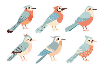 Colorful Avian Collection: A vibrant illustration showcasing a variety of beautifully rendered birds, each with distinct feather patterns and perched elegantly.