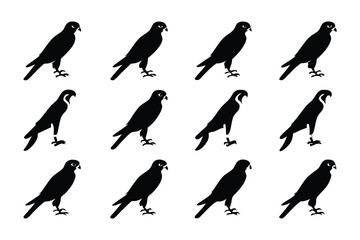 Silhouette of Falcon Avatars on White Backdrop: Multiple falcons arranged on a white surface, their forms silhouetted in striking contrast.