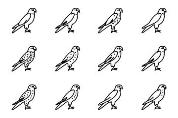 Hawk illustration: A collection of hawk illustrations in a line art style. Perfect for educational materials, logos, or creative projects. Capturing the essence of raptors.