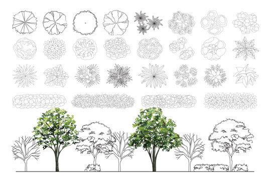 Top View Vector Icons of Trees and Plants for Floor Plan and Architectural Design Projects