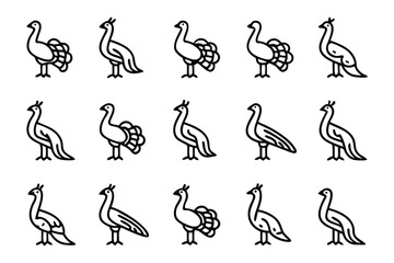 Peacock Display of Elegance: A collection of detailed line art illustrations showcase the regal essence of peacocks, displaying their iconic form and graceful postures in varied designs and positions.