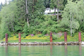 Waterfront property with rusty pilings and wildflowers