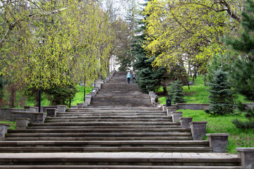 Numerous steps leading up in the shade of trees