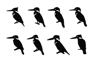 Kingfisher Silhouette Display: An artistic presentation of a kingfisher silhouette, designed for visual appeal. A collection of eight images of kingfisher, showcasing various poses. 