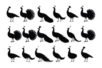 Peacock silhouette: A collection of elegant peacock silhouettes showcases the intricate beauty of this majestic bird in a captivating minimalist composition. 