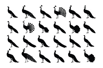Peacock Silhouette Array: A collection of diverse peacock silhouettes, each capturing the majestic form of this avian marvel in elegant detail, showcasing a variety of poses.