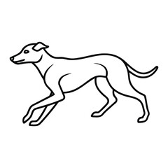 Sleek greyhound in motion line art