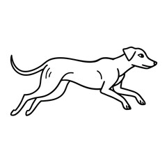 Fototapeta premium Elegant outline drawing of a greyhound in full stride