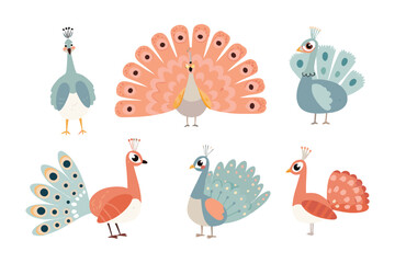 Peacock Illustration Collection: Vibrant illustrations showcase peacocks in various poses, perfect for adding a touch of elegance and charm to any project.