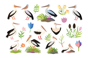 Collection of Pelican and Plants: A whimsical watercolor illustration showcases an array of pelicans, accompanied by charming plants.