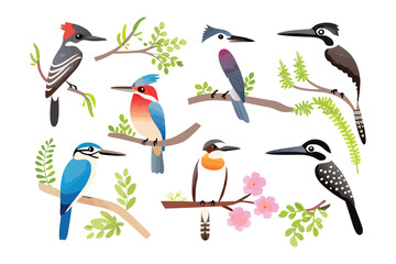 Colorful Birds Illustration: A vibrant illustration showcases an assortment of colorful birds perched on branches with lush greenery, exuding the charm of wildlife and nature's beauty.