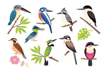 Bird Collection: A vibrant collection of diverse bird species, perched on branches, showcases nature's colorful avian wonders.