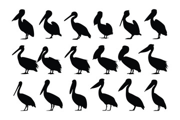 Pelican Silhouette in the Sea: A flock of elegant pelicans in silhouette. The dark forms offer a stark contrast, bringing an eye-catching graphic appeal.