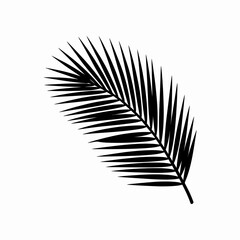 Fototapeta premium Black Palm Leaf Silhouette on White Background
