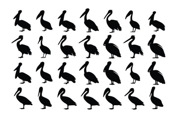 Pelican Silhouette: A visually striking and minimalistic silhouette composition, a flock of pelicans, conveying elegance and natural grace, suitable for various applications.