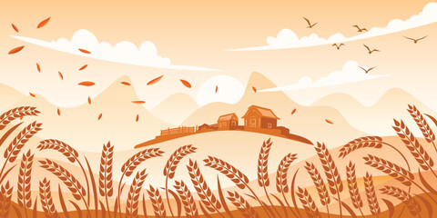 Autumn rural landscape, farm and harvest, wheat field, ears of wheat, vector drawing