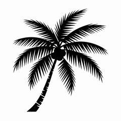 Palm Tree Silhouette on White Background