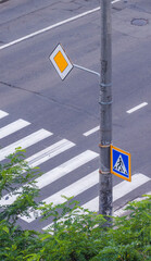 Pedestrian crossing with main road priority sign and green plants in urban environment