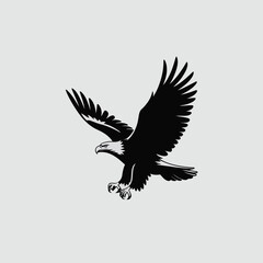 Fototapeta premium Majestic bald eagle in flight with wings spread wide