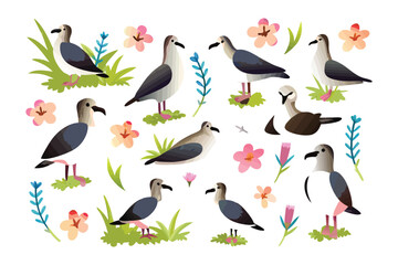 Seabird Illustration: A collection of meticulously illustrated seabirds, each depicted in a unique pose, are surrounded by whimsical floral and foliage elements. showcasing natural beauty and design.
