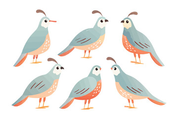 Artistic Quail Illustration: A charming illustration depicts a gathering of quails, each with its unique pose, creating a vibrant composition filled with personality.