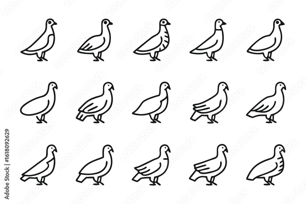 Poster avian ensemble: a graphic compilation of pigeons showcases diverse avian forms in minimalist line ar
