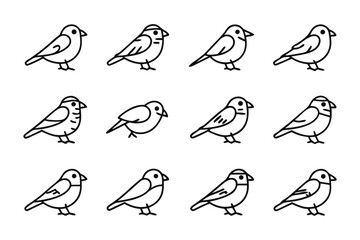 Bird Illustrations: A collection of simple and elegant line drawings of birds showcasing their forms.
