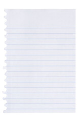 Lined loose leaf notebook paper ripped rectangle isolated on white