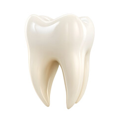 Healthy Human Tooth Isolated on White Background for Dental Concepts and Health Publications