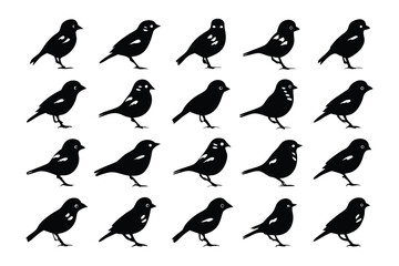 Silhouette Birds: A harmonious collection of bird silhouettes in a photorealistic display, celebrating the beauty of avian forms. 