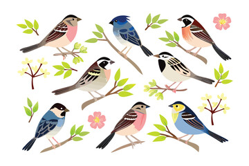 Whimsical Avian Ensemble: A collection of charming avian illustrations perched on delicate branches, each showcasing unique plumage, blooming flowers, and fresh green leaves.