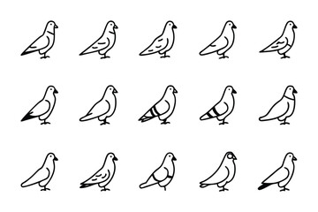 Artistic Pigeon Illustration: A series of minimalist illustrations showcasing a stylized pigeon, capturing its essence through clean lines and form.
